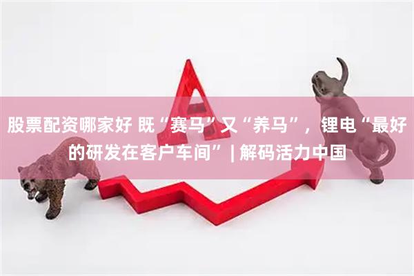 股票配资哪家好 既“赛马”又“养马”，锂电“最好的研发在客户车间” | 解码活力中国