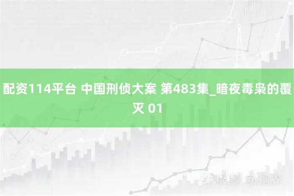 配资114平台 中国刑侦大案 第483集_暗夜毒枭的覆灭 01