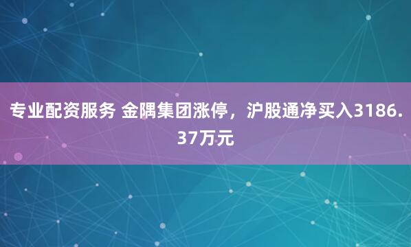 专业配资服务 金隅集团涨停，沪股通净买入3186.37万元