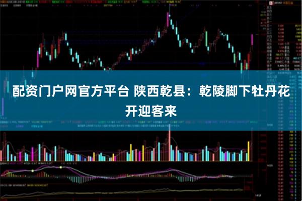 配资门户网官方平台 陕西乾县：乾陵脚下牡丹花开迎客来